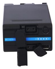 PATONA Platinum  BP-U100 Pil