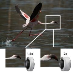 Sony FE 200-600mm f/5.6-6.3 G OSS Lens