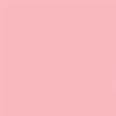 Gdx Seyyar Kağıt Sonsuz Stüdyo Fon Perde (Coral) 2.70x11 Metre