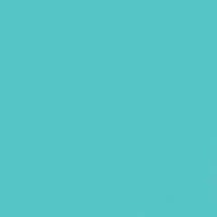 GDX Seyyar Kağıt Sonsuz Stüdyo Fon Perde (Baby Blue) 2.70x11 Metre