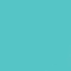 Gdx Seyyar Kağıt Sonsuz Stüdyo Fon Perde (Baby Blue) 2.70x11 Metre