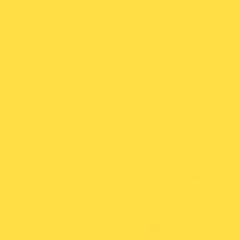 Gdx Kağıt Sonsuz Stüdyo Fon Perde (Canary) 2.70x11 Metre