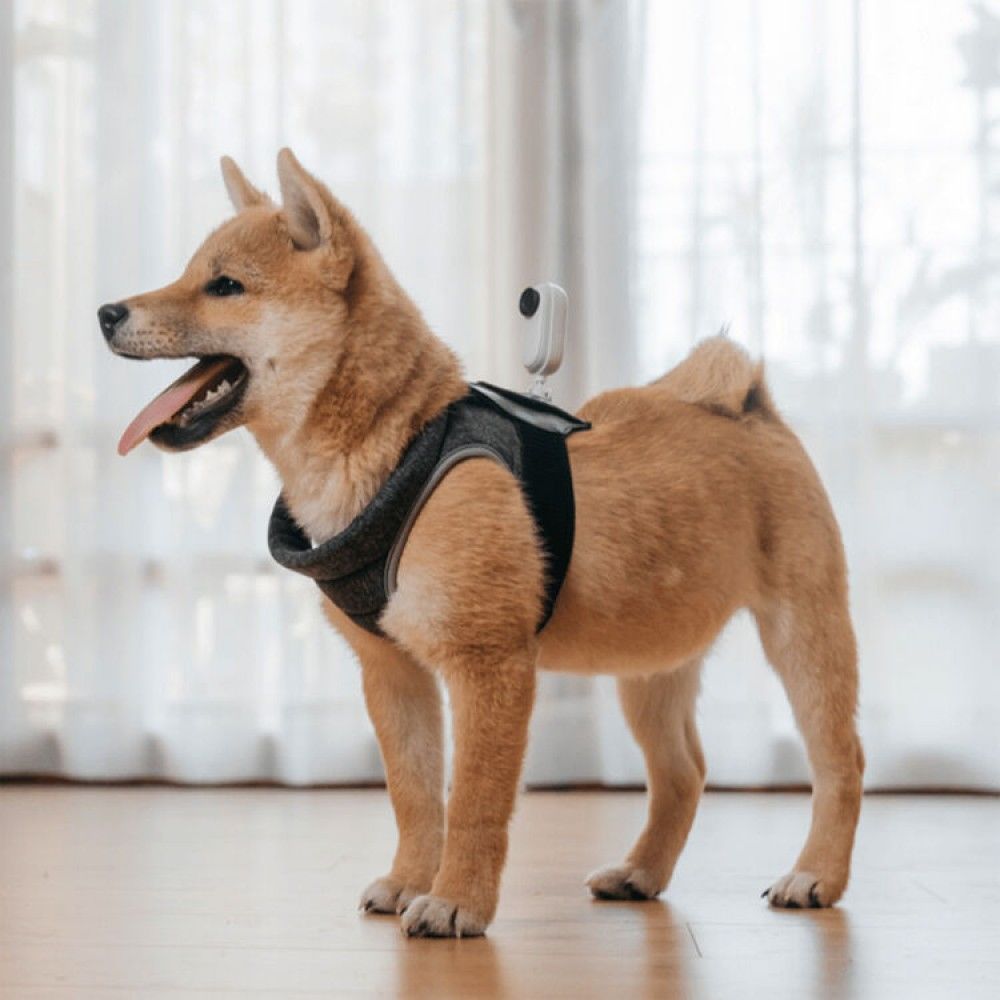 Insta360 GO 2 Pet Strap Mount – detay görseli Insta360 GO 2 Pet Strap Mount detay görseli