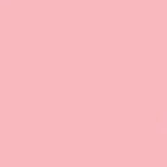 GDX Kağıt Sonsuz Stüdyo Fon Perde (Coral) 2.70x11 Metre