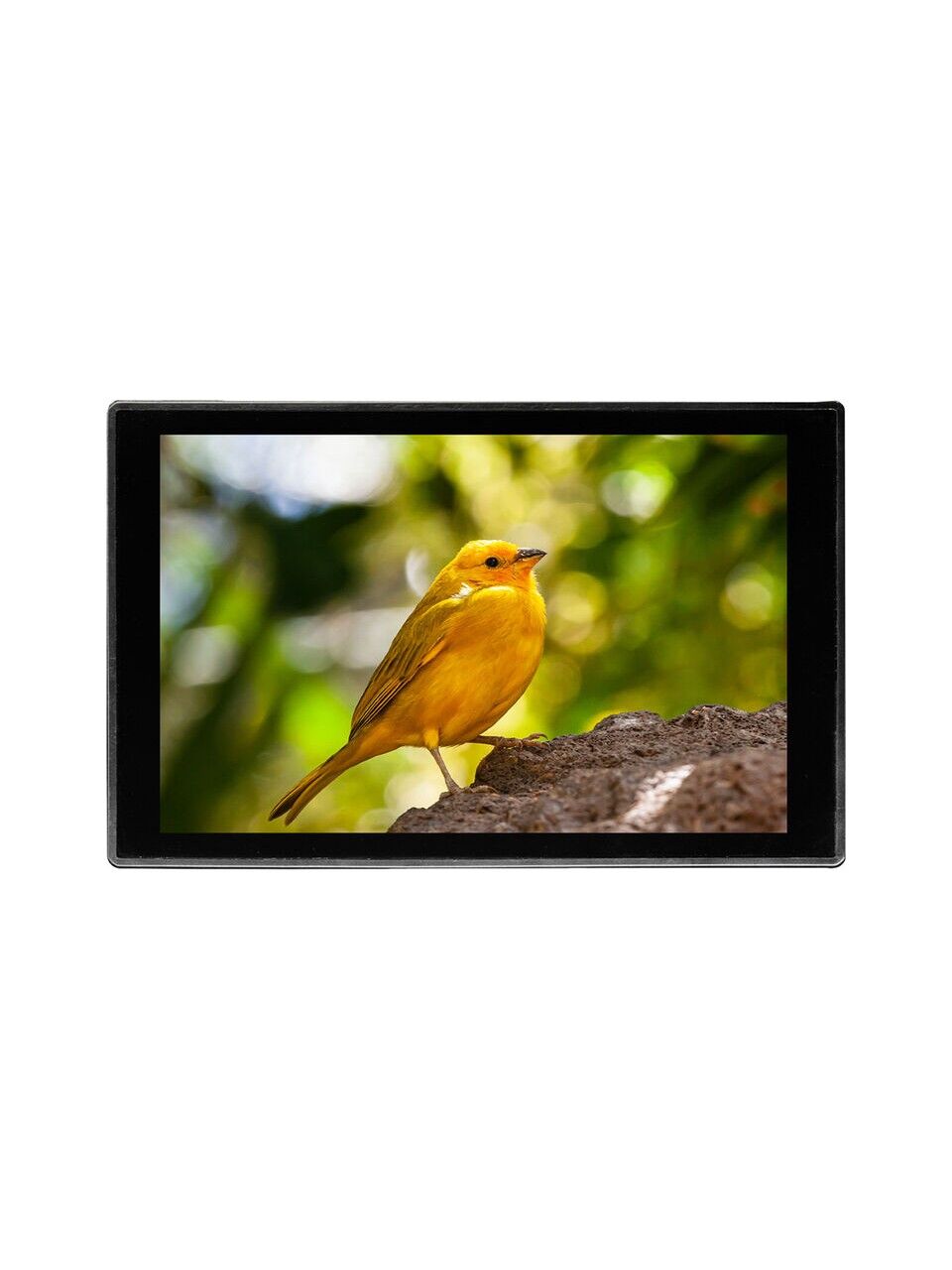PortKeys HD7T 7'' Dokunmatik Ekranlı Kamera Monitörü | 4K HDMI, Yüksek Parlaklık