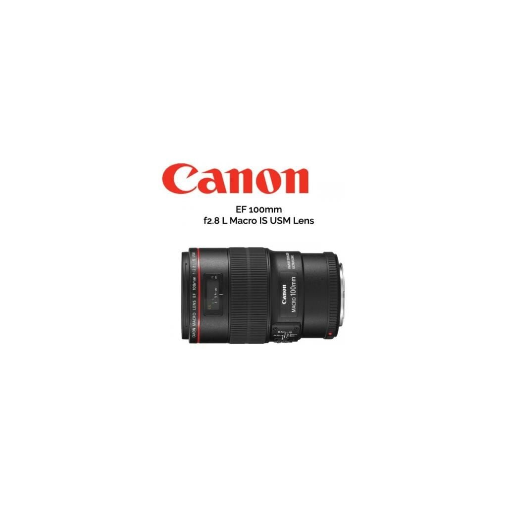 Canon EF 100mm f/2.8L IS USM – detay görseli Canon EF 100mm f/2.8L IS USM detay görseli