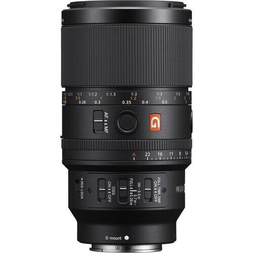 Sony FE 100mm f/2.8 Macro GM Lens