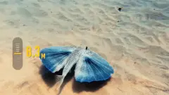 DJI Osmo Action 6 Standard Combo