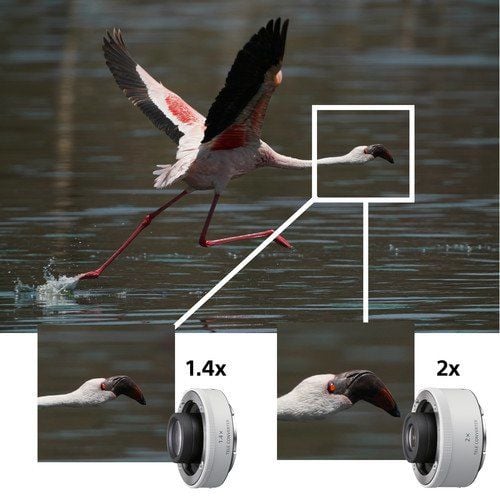 Sony FE 200-600mm f/5.6-6.3 G OSS – farklı açıdan görünüm Sony FE 200-600mm f/5.6-6.3 G OSS farklı açıdan görünüm