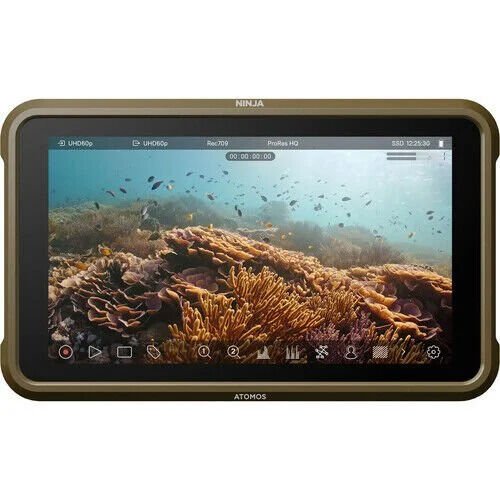 Atomos Ninja – ürün görseli Atomos Ninja ürün görseli